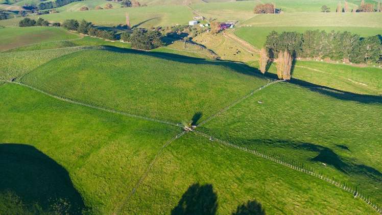 180 Tipapakuku Road Dannevirke_19
