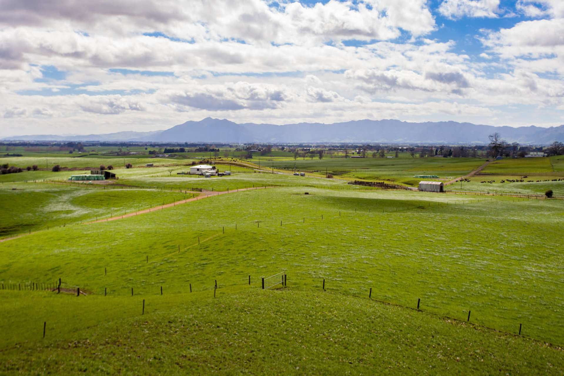 2175 Morrinsville-Walton Road Richmond Downs_0