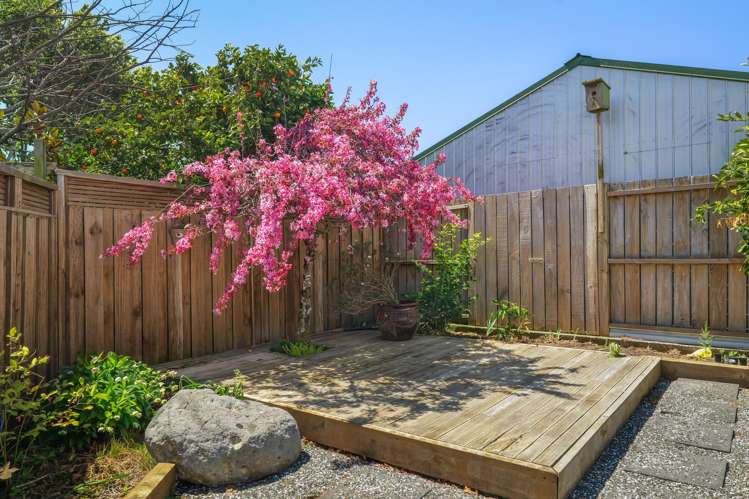 124 Wills Road Katikati_13
