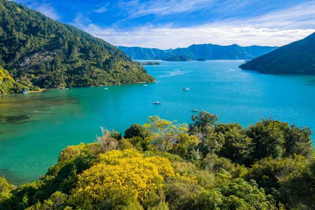 Your Waterfront Dream Starts Here