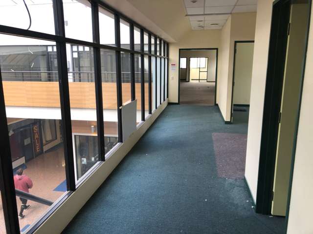 81 Broadway Avenue Palmerston North Central, Palmerston North_1