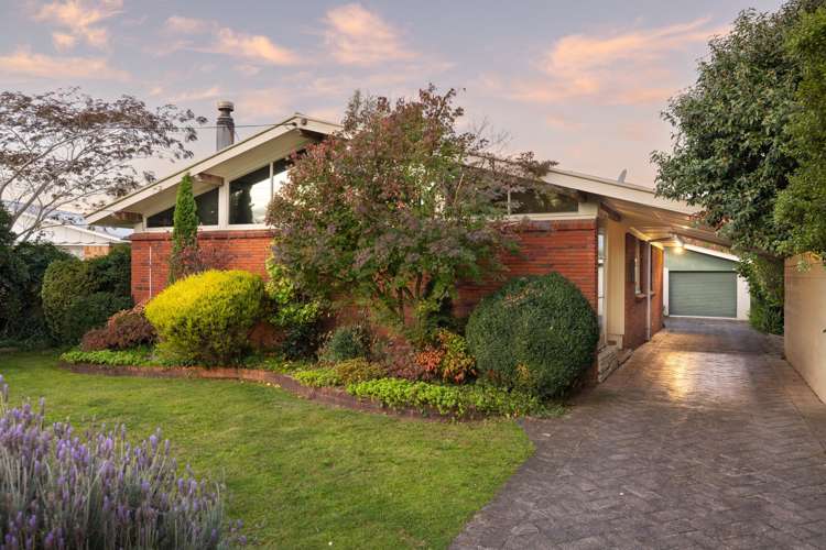 37 Stafford Street_0