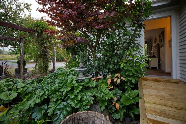 136 Ludstone Road Kaikoura_15