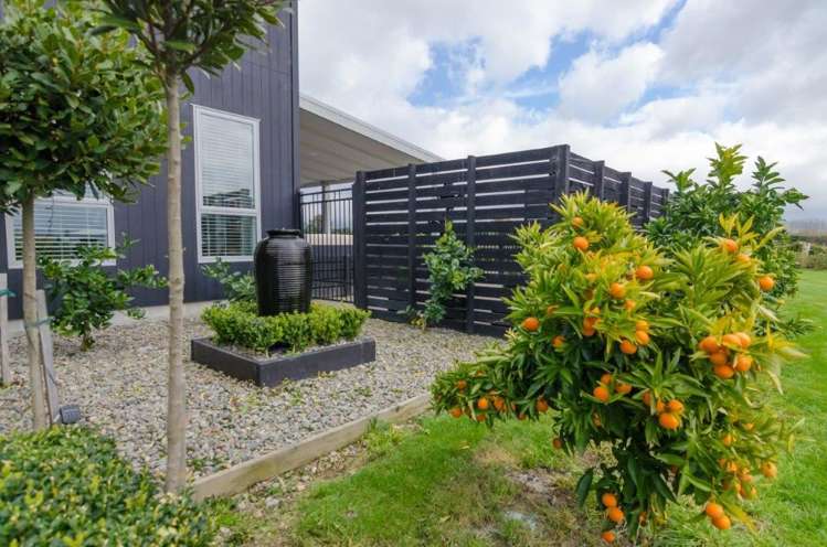 77 Matahiwi Road Matahiwi_21