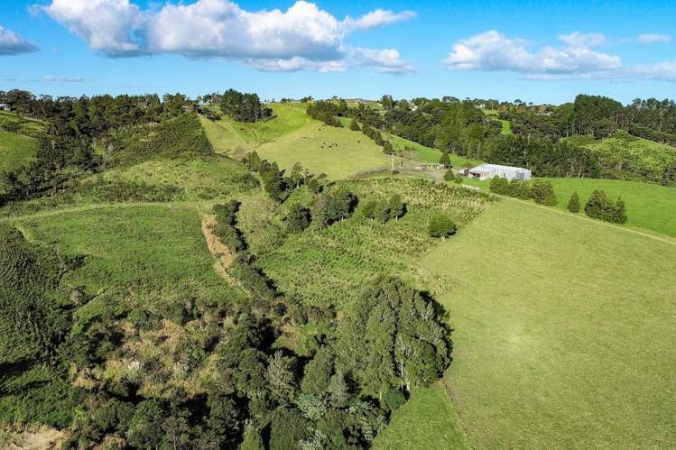 Kiwitahi Road Helensville_5