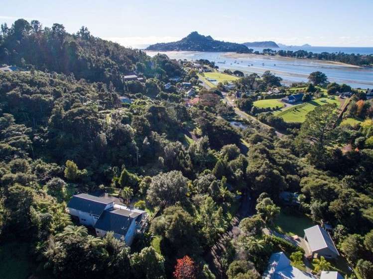 36 Rewa Rewa Vall Tairua_29