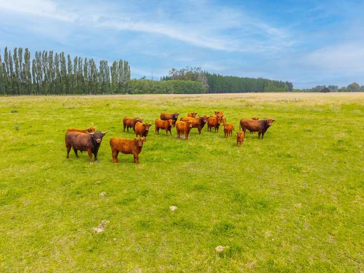 79 Halstead Road Pleasant Point_22