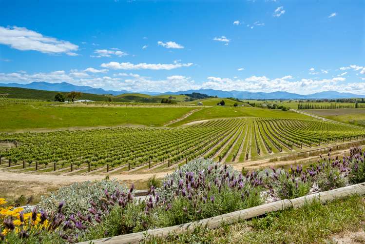 175 Wrekin Road Fairhall_19