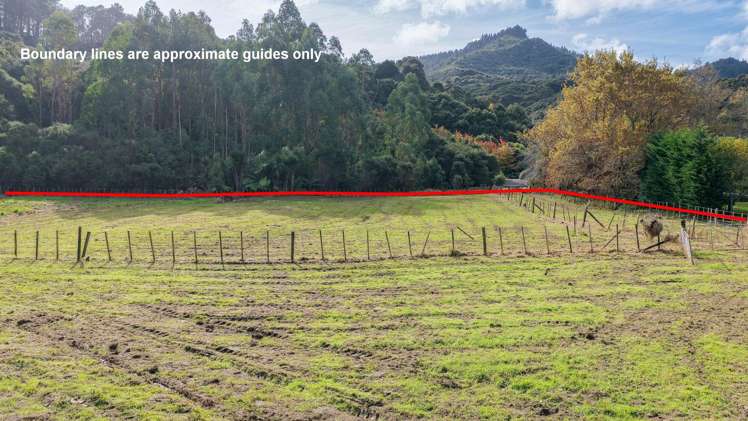 163 and 165 Tapu Coroglen Road Tapu_17