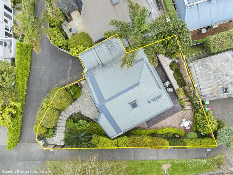 1a Martin Avenue Remuera_16