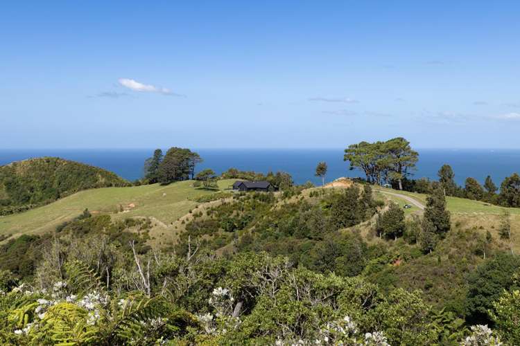 231 Heard Road Waihi_21