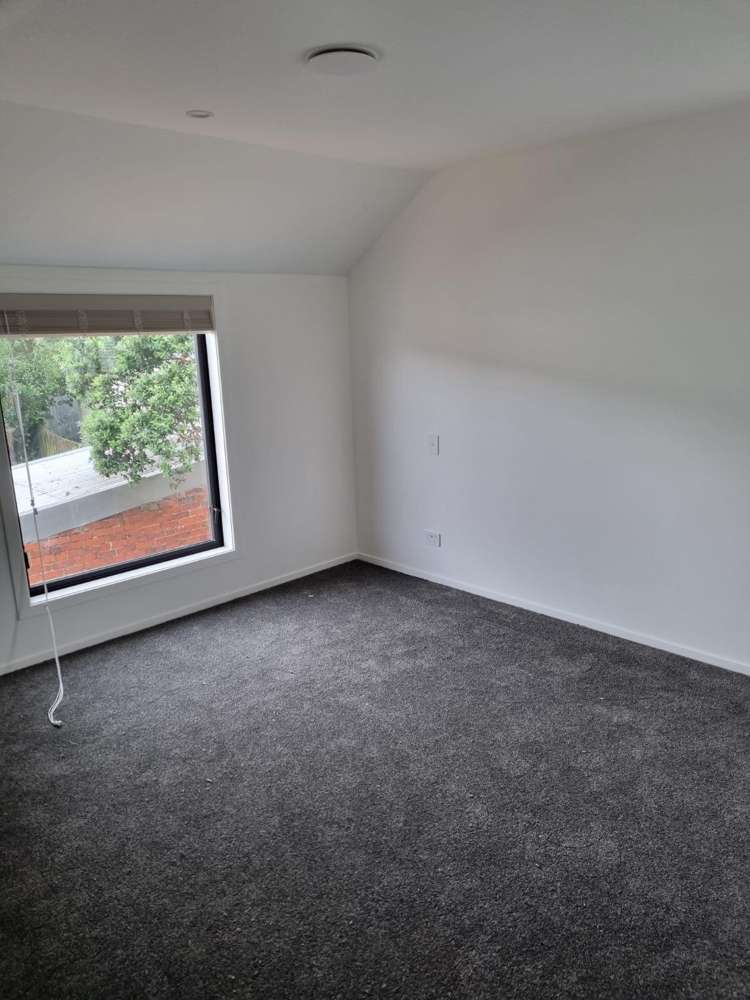  3/10 Palm Grove Berhampore_10