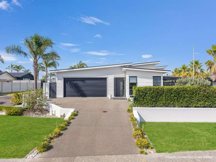 2 Celmisia Retreat_0