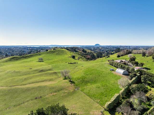 164C Crawford Road Te Puna_3
