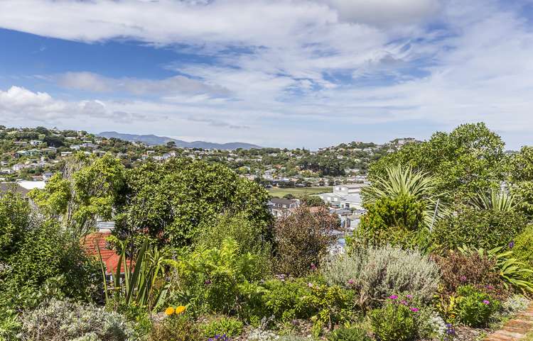 85 Miramar North Road Miramar_25