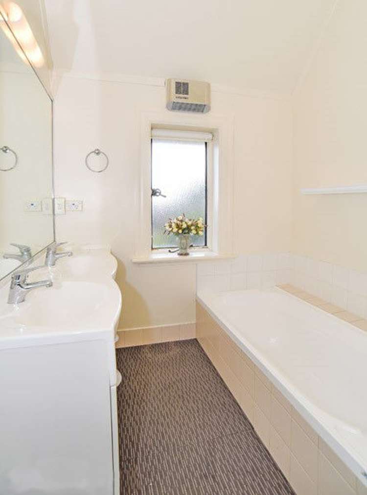 164 Forbury Road Saint Clair_13