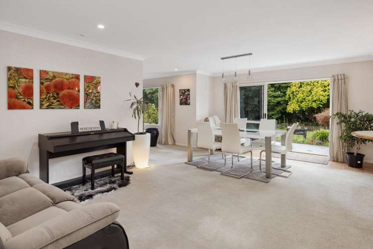 389 Old Highway Whakamarama_3