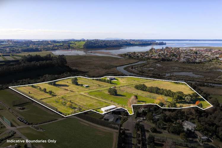 72 Church Street Katikati_31