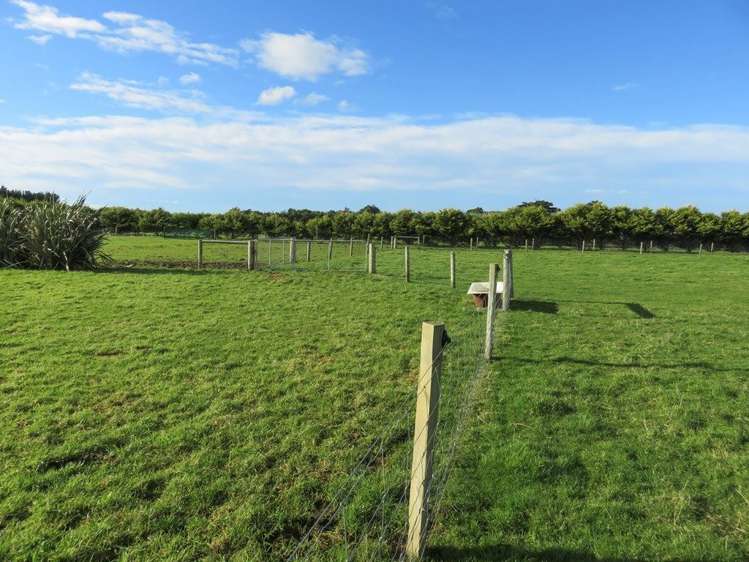 40 Ackers Road New River Ferry_21