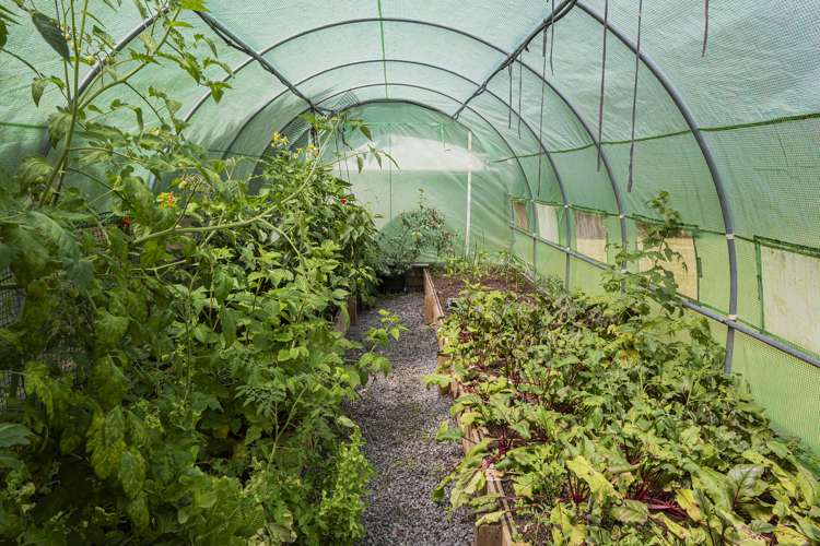 23 Jellick Road Hikurangi_19