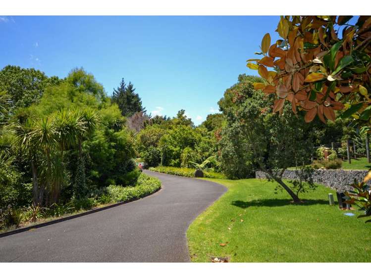 Blue Gum Lane Kerikeri_3