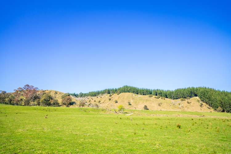 232 Kotare Road Ruakituri_2