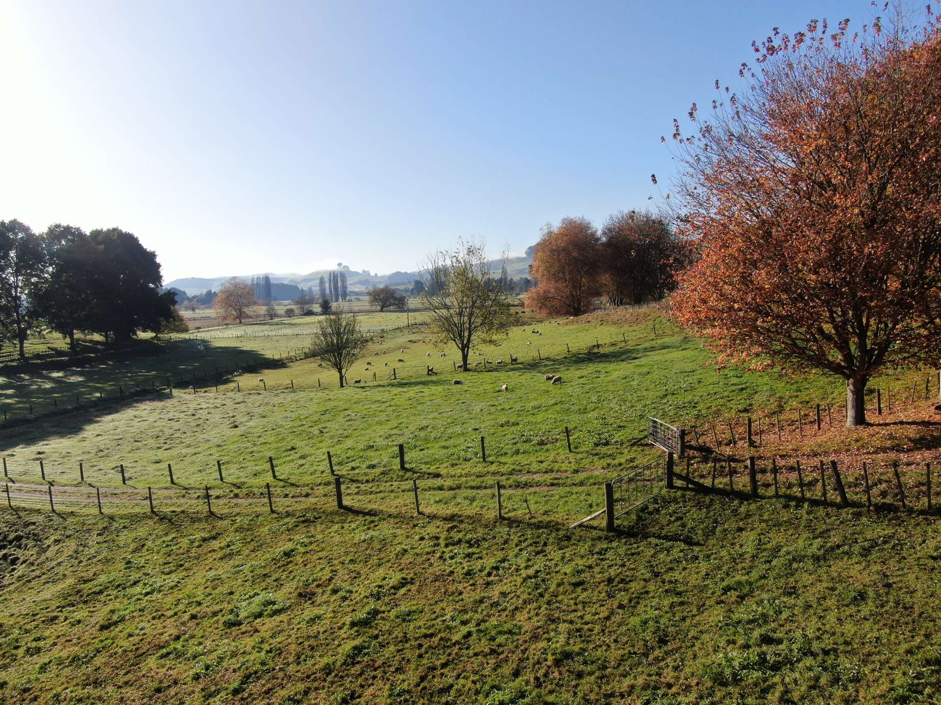 1370 State Highway 3 Te Kuiti_0