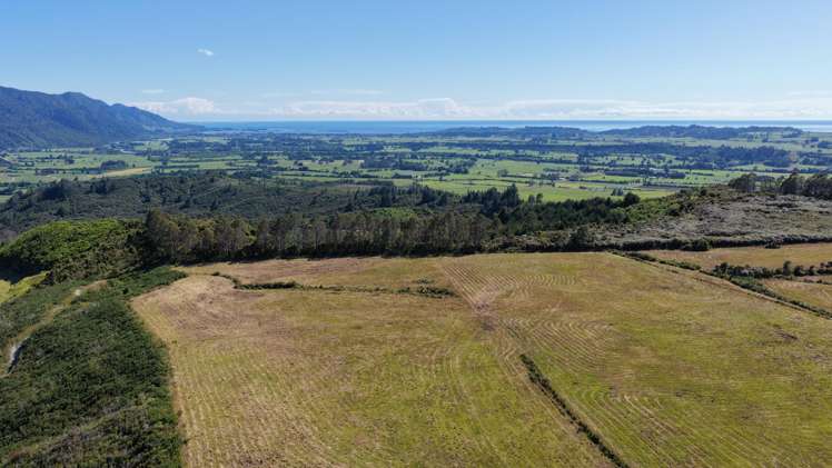 1419 Collingwood-Bainham Main Road Collingwood_9