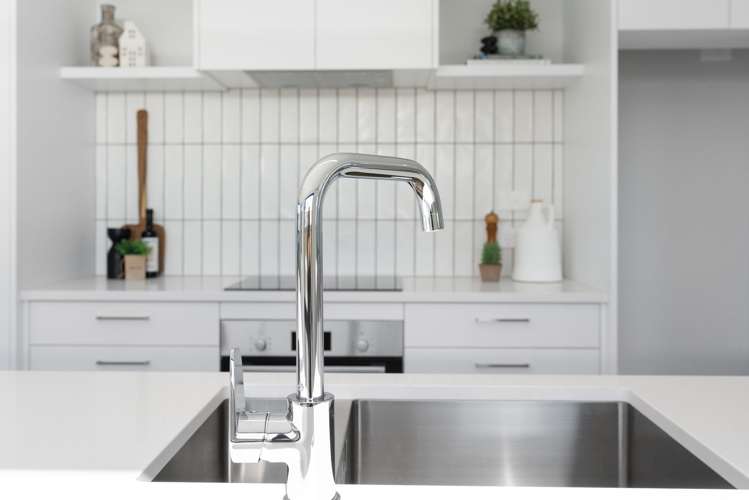 Riapeti Rise Puna Rua_5