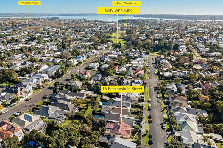 16 Beaconsfield Street Grey Lynn_19