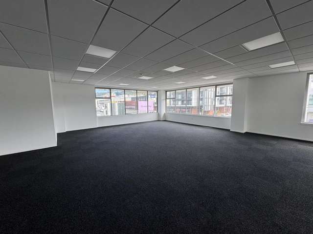 Level 1/59 Adelaide Road Mount Cook_2