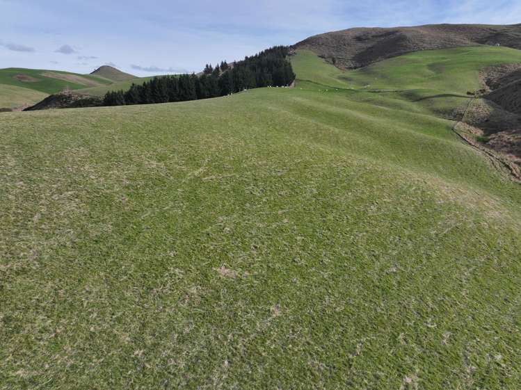 3 Conical Hill Road Gore_8