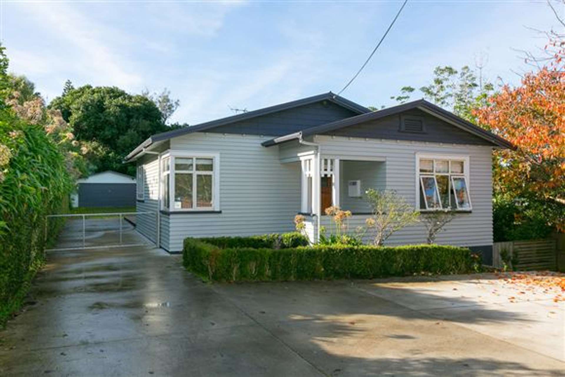 8b Ngaio Street Strandon_0