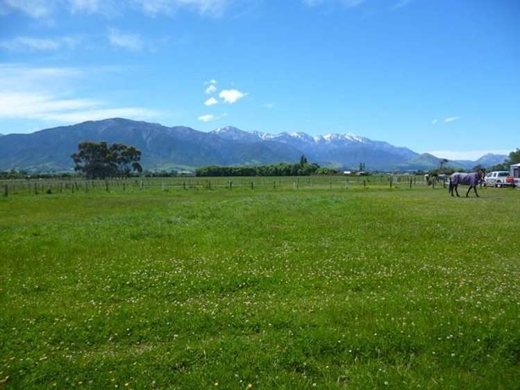 46 Hawthorne Road Kaikoura_8