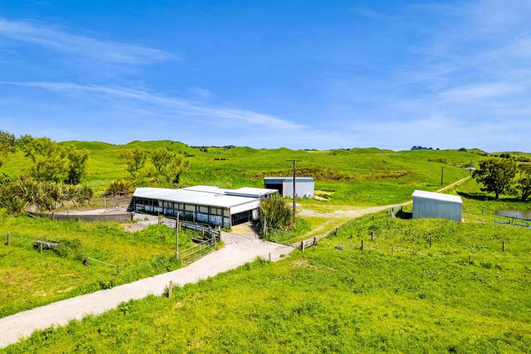 617 Parihaka Road Pungarehu_5