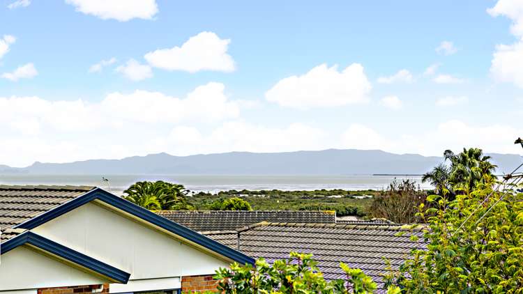 1/195 Finlayson Avenue Clendon Park_5