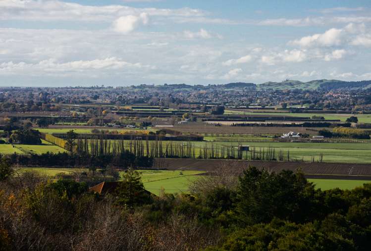 133 Enfield Drive Pakipaki_9