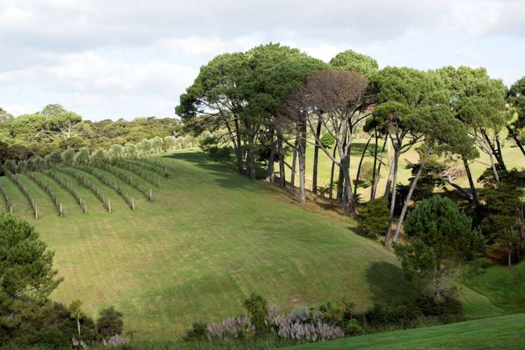 186 Mahoenui Valley Road Coatesville_18