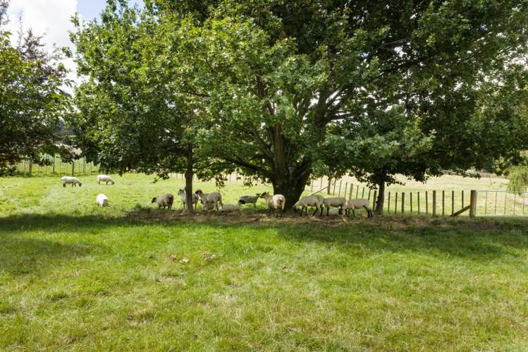 512 Milson Line Newbury_32