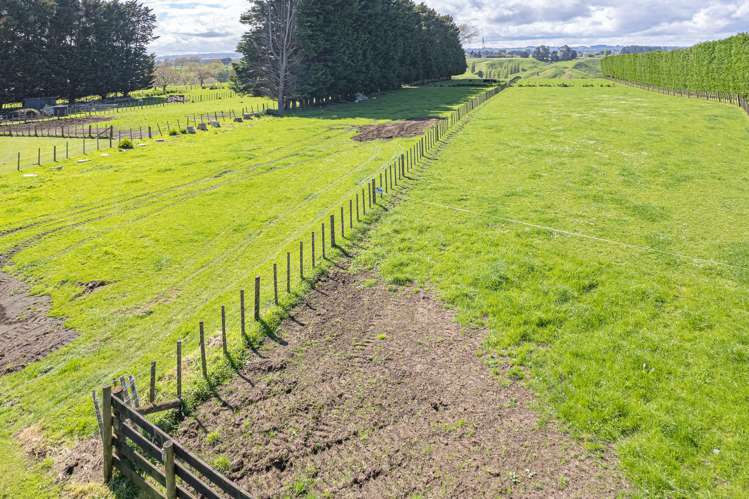 78a Lilybank Road Brunswick_9