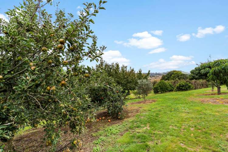 233 Parsons Road Onewhero_12