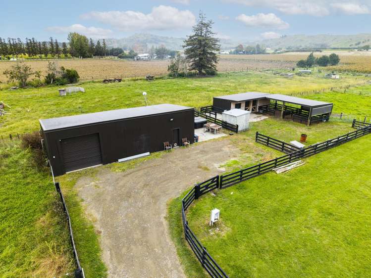 1290 Matawai Road Ormond_6