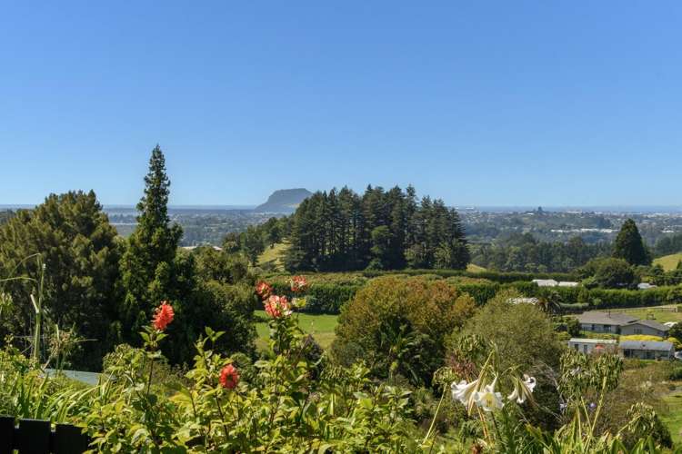 229B Crawford Road Te Puna_12