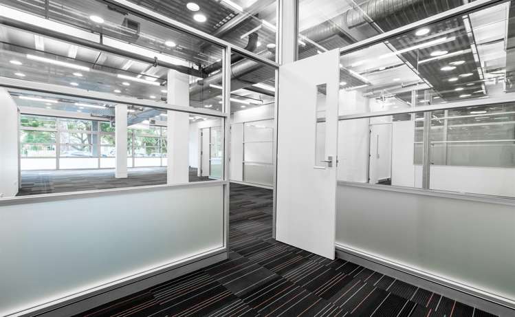 72 Dominion Road Mount Eden_4