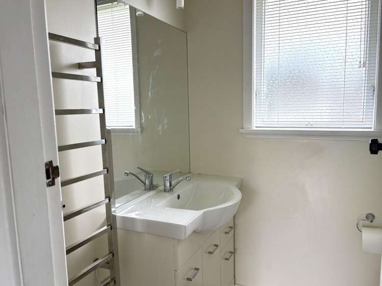 19 Harata Street 11211_5