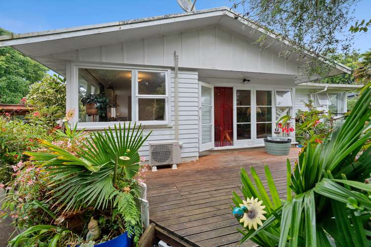 86 Mead Street Avondale_6