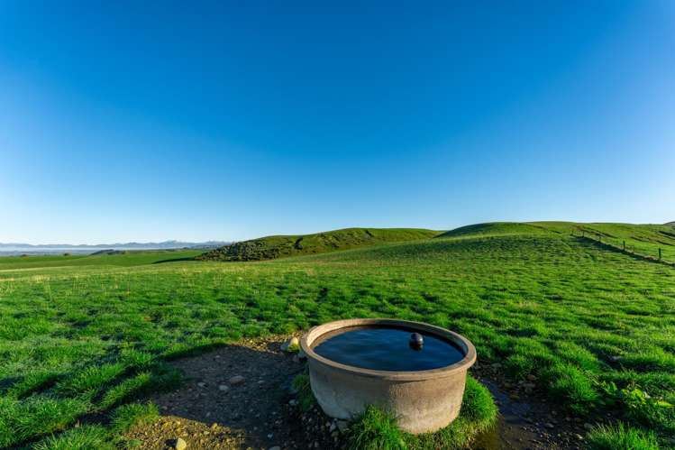 463 Dog Kennel Road Waimate_40
