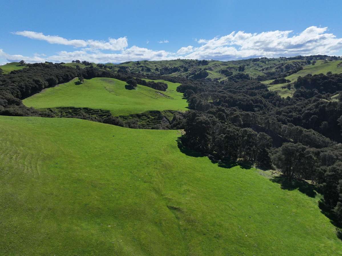 2829 Puketitiri Road_1