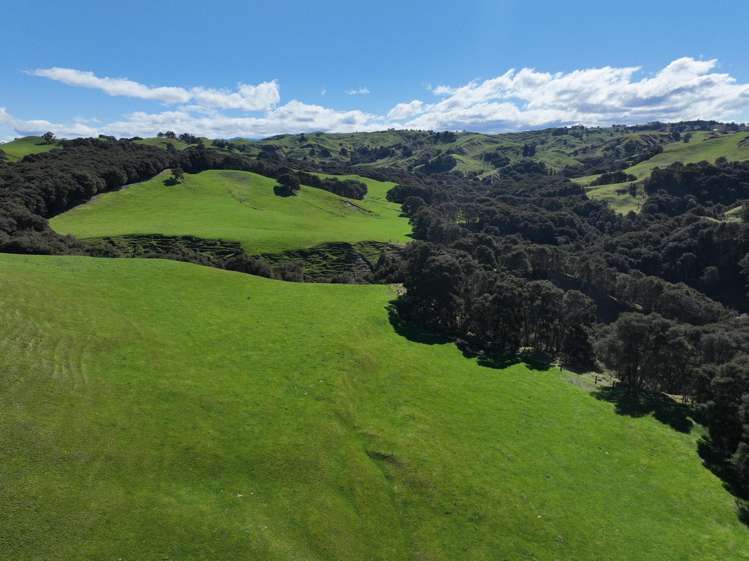 2829 Puketitiri Road Patoka_5