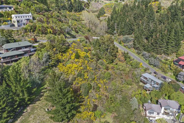 67 Holliss Avenue Cashmere_2